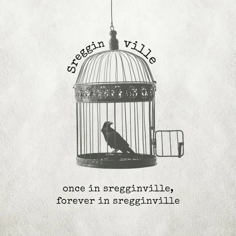 SregginVilleFnF avatar